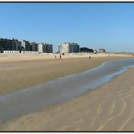 Apartamento Duplex In Near The *